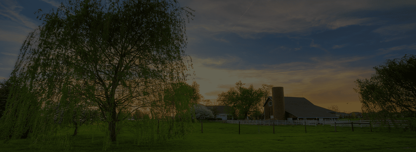 Farm bg